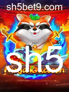 NinjaRaccoon: Um Mergulho no Mundo dos Guaxinins Ninja